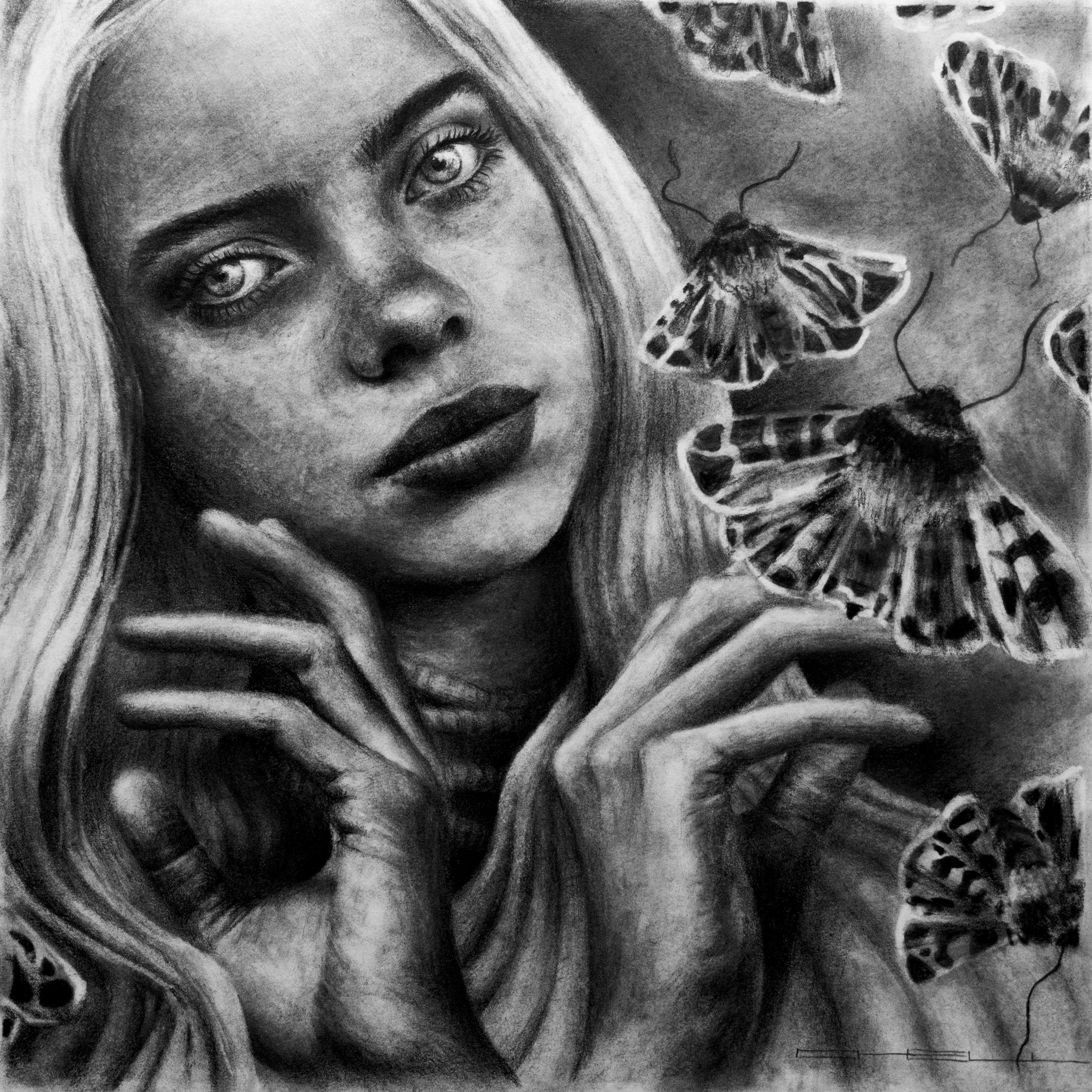 Fine Art Print - The Moth